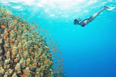 Small-Group and optional Cable Car Premium Snorkeling By Speedboat Small-Group and optional Cable Car Premium Snorkeling By Speedboat