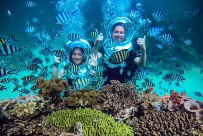 Sea Walker - DIVING, SNORKELING AND WATCHING CORAL REEFS Sea Walker - DIVING, SNORKELING AND WATCHING CORAL REEFS