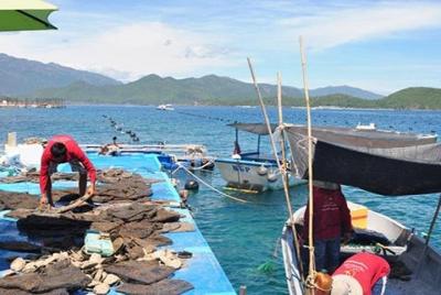 Full-Day Highlights of Phu Quoc Private Tour  Full-Day Highlights of Phu Quoc Private Tour