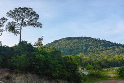 Ham Ninh Guided Trekking Full-Day Ham Ninh Guided Trekking Full-Day