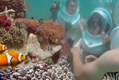 Phu Quoc South Island & Sea Trek Dive Phu Quoc South Island & Sea Trek Dive