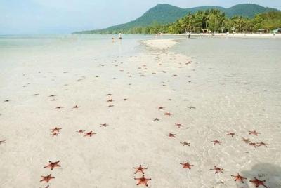 Truly Vietnam- A great day to Starfish beach & Phu Quoc national park Truly Vietnam- A great day to Starfish beach & Phu Quoc national park