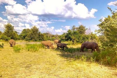 Game Drive into the Musi Otunya National Park Game Drive into the Musi Otunya National Park