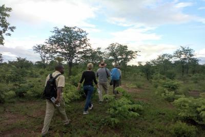 Rhino & Nature walk in the Musiotunya National Park Rhino & Nature walk in the Musiotunya National Park
