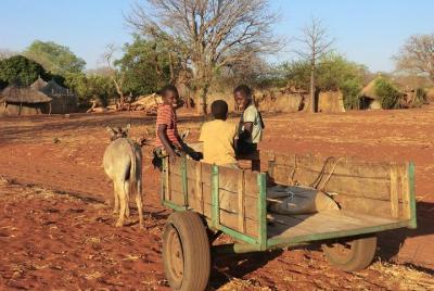 Mukuni Village Tour. The true taste of African life..every way of Mukuni Village Tour. The true taste of African life..every way of