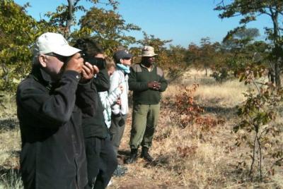Rhino walking Safari  Rhino walking Safari