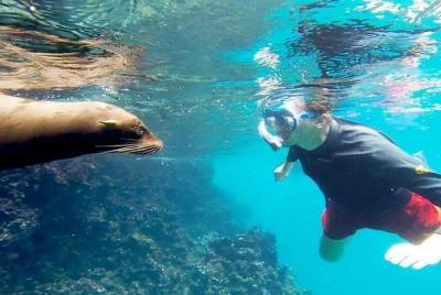 Sightseeingss in Santa Cruz Things to do in  Santa Cruz 498091845