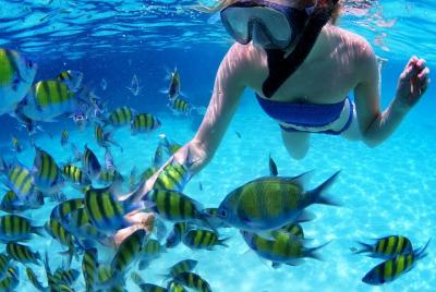 Full-Day Rosario Islands Including Barú, Cholon and Playa Blanca Full-Day Rosario Islands Including Barú, Cholon and Playa Blanca