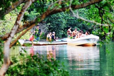 Turtle and Crocodile Eco Tour from Huatulco with Mangrove Boat Ri Turtle and Crocodile Eco Tour from Huatulco with Mangrove Boat Ri