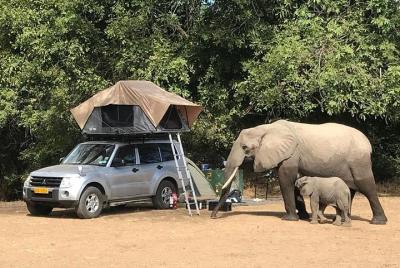 8-Day Mana Pools & Chitake 4x4 Safari 8-Day Mana Pools & Chitake 4x4 Safari