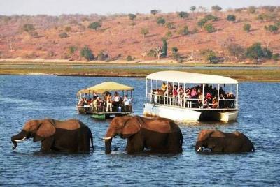 Chobe Full Day Trip  Chobe Full Day Trip