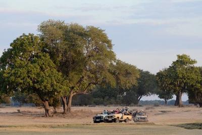 Safari Tour in Stanley and Livingstone Private Game Reserve Safari Tour in Stanley and Livingstone Private Game Reserve