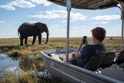 From Livingstone, Victoria Falls, Kasane: One Day & Overnight Chobe Safari From Livingstone, Victoria Falls, Kasane: One Day & Overnight Chobe Safari