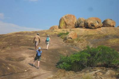 Okavango Delta ,Maun,Savuti ,Chobe & Around Zimbabwe 15 Days Expedition Okavango Delta ,Maun,Savuti ,Chobe & Around Zimbabwe 15 Days Expedition