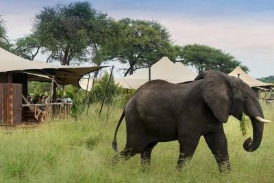 Hwange National Park Camping Safari from Victoria Falls (2 Nights) Hwange National Park Camping Safari from Victoria Falls (2 Nights)