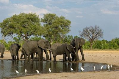 Hwange National Park 3 Days Package Hwange National Park 3 Days Package