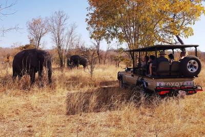 Full Day Hwange Safari Full Day Hwange Safari