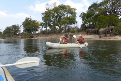 Canoeing with Wildlife Sightings  Canoeing with Wildlife Sightings