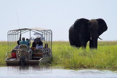Chobe National Park Safari Full Day-trip Chobe National Park Safari Full Day-trip