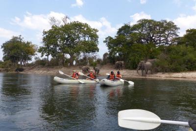 Upper Zambezi Canoeing  Upper Zambezi Canoeing