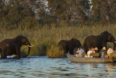 Full-Day Zambezi River Canoeing Experience with Pickup Full-Day Zambezi River Canoeing Experience with Pickup