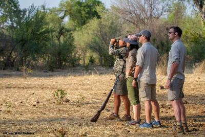 Canoe, Walk & Drive Combo - 3 Days 2 Nights - River Wild Safaris  Canoe, Walk & Drive Combo - 3 Days 2 Nights - River Wild Safaris