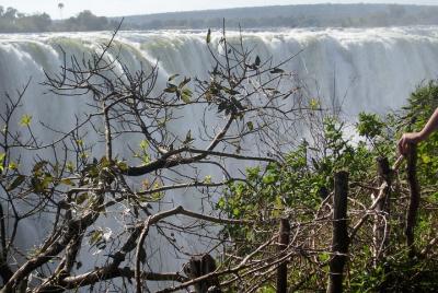 Guided Tour Of The Victoria Falls Guided Tour Of The Victoria Falls