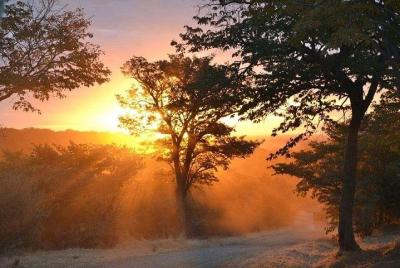 Sunrise Private Guided Falls Tour Sunrise Private Guided Falls Tour