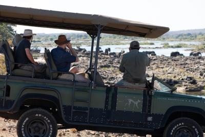 Morning Game Drive & Walking Safari