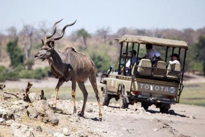 6-day Hwange, Chobe & Victoria Falls Combo 6-day Hwange, Chobe & Victoria Falls Combo