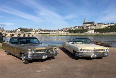 5-Day Private Luxury Tour of Loire Valley from Blois