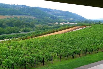Private Tour of Pisa & Chianti Wine Tour with Lunch in Winery (8 Hrs) Private Tour of Pisa & Chianti Wine Tour with Lunch in Winery (8 Hrs)