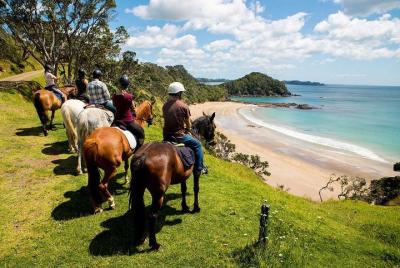 Roatan Half-Day Combo Horseback Riding with Zip Line Monkey & Slo