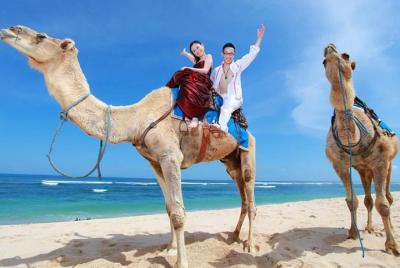Bali Camel Ride on the Beach with Photo Session Bali Camel Ride on the Beach with Photo Session
