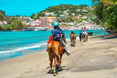 Grenada Beach and City Horse-Back Riding Adventure Grenada Beach and City Horse-Back Riding Adventure