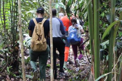 Rainforest Trek in Guyana Rainforest Trek in Guyana