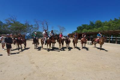 Roatan Excursion: Horseback Ride / Plus Sloth Park and Beach Brea