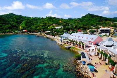 Shore Excursion: Roatan Private VIP Customizable Island Tour