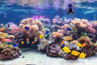 SEA LIFE Speyer Admission Ticket