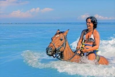 Jamaica Horseback Ride & Swim: Trail Ride & Swim Horseback in the Jamaica Horseback Ride & Swim: Trail Ride & Swim Horseback in the