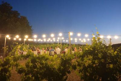 Dinner in the Vineyards from Siena Dinner in the Vineyards from Siena