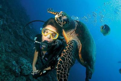 Scuba Diving full of adrenaline in Antalya