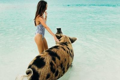 Flight & Small Group Tour to Swimming Pigs with 7 Stops Including Flight & Small Group Tour to Swimming Pigs with 7 Stops Including