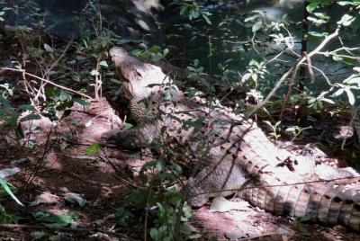 Discover Malawi in 7 days. Private tour with accommodation 