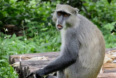 Sightseeingss in Lilongwe  Things to do in  Lilongwe  176498