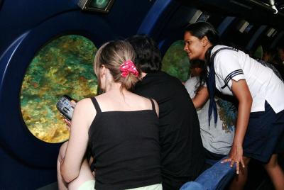 2-Hour Maldives Submarine Tour From Male 2-Hour Maldives Submarine Tour From Male