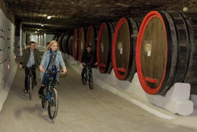 Biking a Guinness Book Winery Biking a Guinness Book Winery