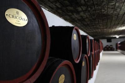 GROUP - Cricova Winery, Old Orhei and Curchi Monastery GROUP - Cricova Winery, Old Orhei and Curchi Monastery