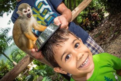 Monkeyland and Plantation Safari Tour from Punta Cana Monkeyland and Plantation Safari Tour from Punta Cana