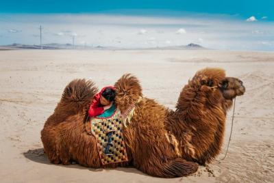 Mongolia In 3 Days Mongolia In 3 Days